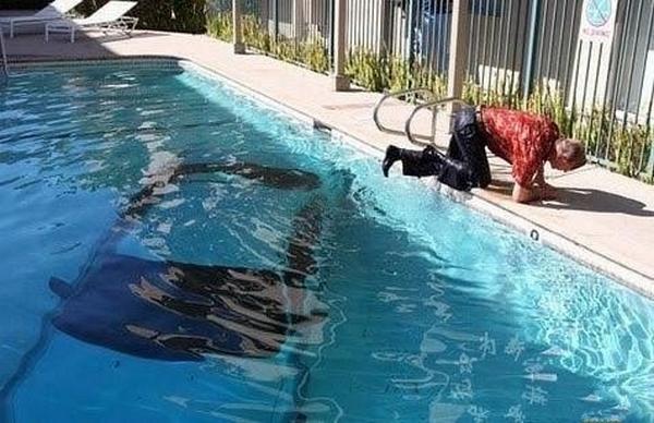 Underwater Garage 187