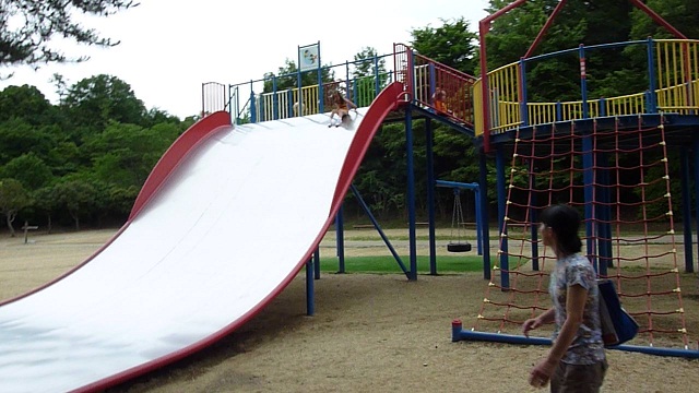 Obesity Slide 672