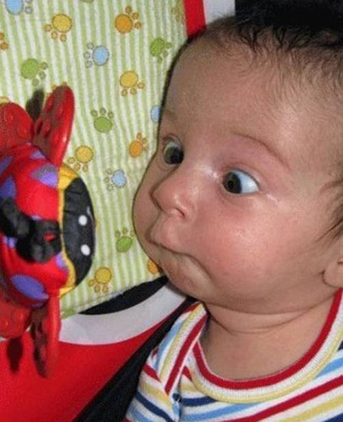 The Look 898