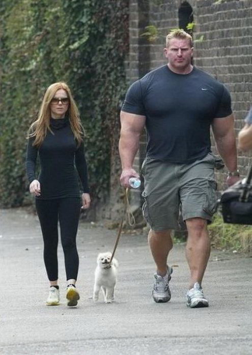 Dog Walk 767