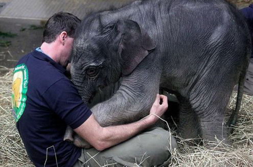 For the love of ella 783