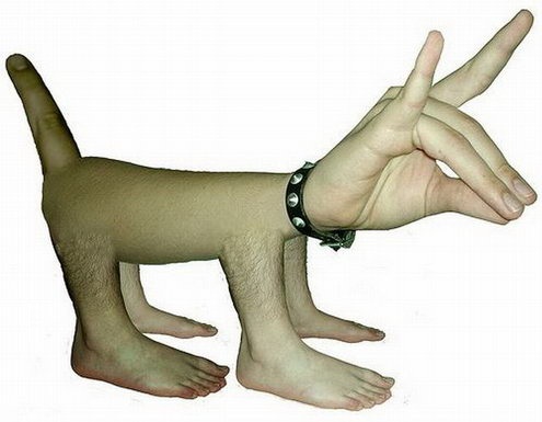Hand Dog 287 Hand Dog 287