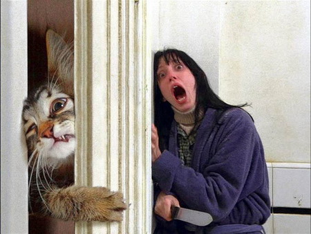 The beast is coming 672 The beast is coming 672