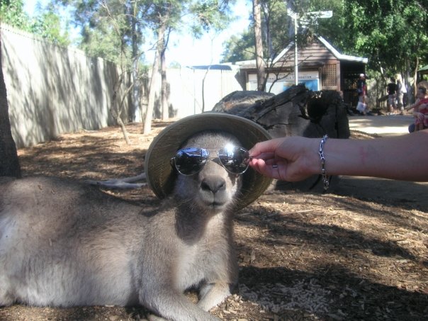 Ultra Cool Roo 726 Ultra Cool Roo 726