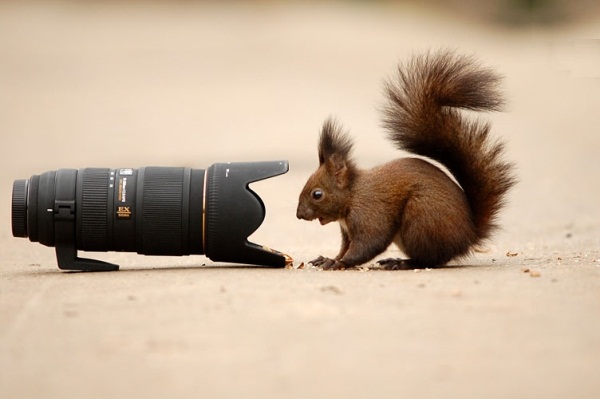 What is this witchcraft 902 What is this witchcraft 902