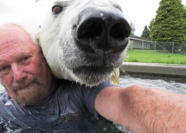 Photobomb - Polar Bear style 782