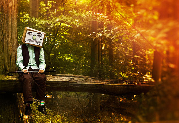 Forest Clown 254 Forest Clown 254