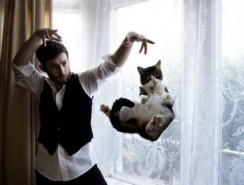 Levitating Cat 098