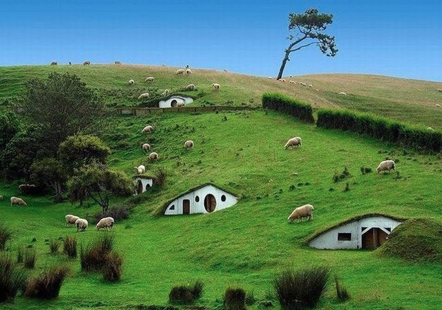 Sheep Houses 244 Sheep Houses 244