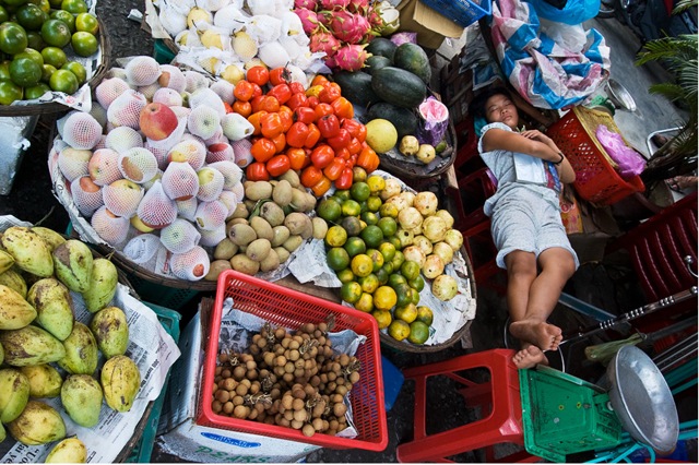 Sleeping Vegetable 287 Sleeping Vegetable 287