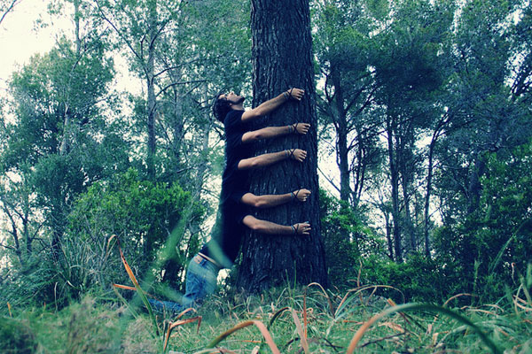 human centapede 671 human centapede 671