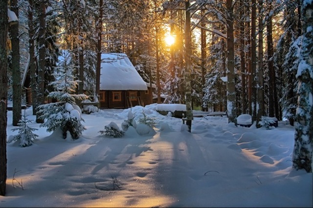 mountain cabin 365
