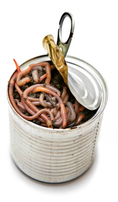 Can of Worms 378