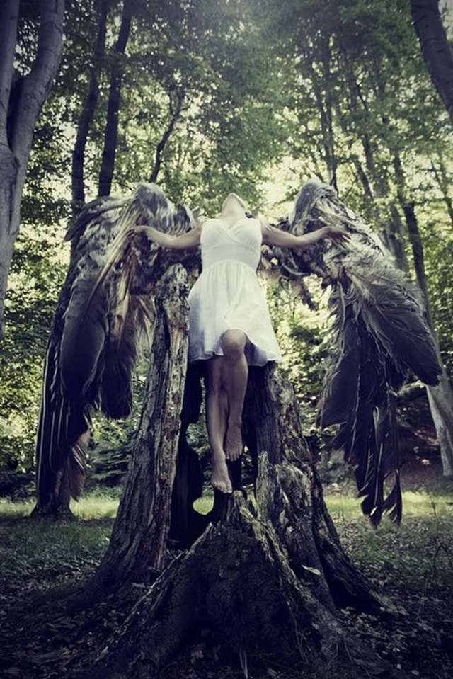 Dark Angel 209