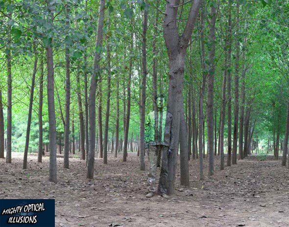 camouflage-paint-forest