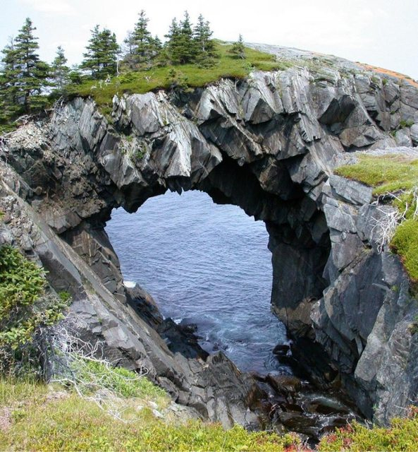 Perfect Place for a Picnic 278