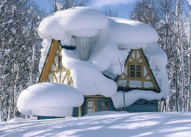 Snow Overload 894