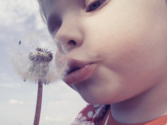 azguridyte azguridyte