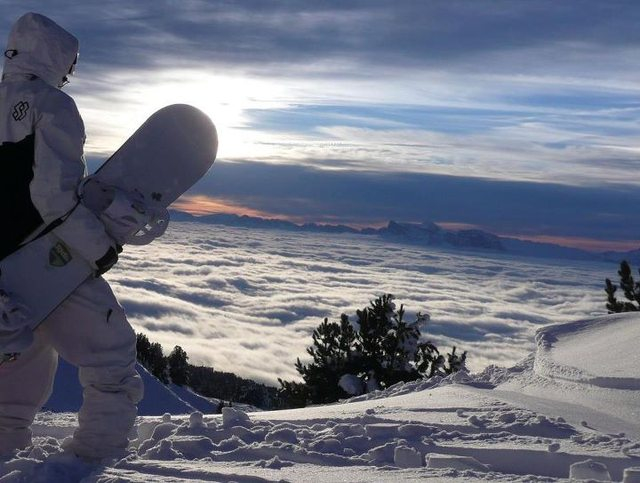 boarder heaven 890 boarder heaven 890