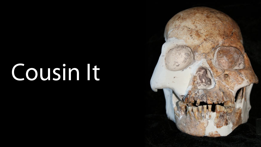 skull 1234567