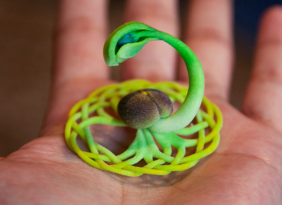 seed_hand 65678