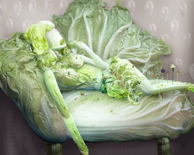 Cabbage Fantasies 339