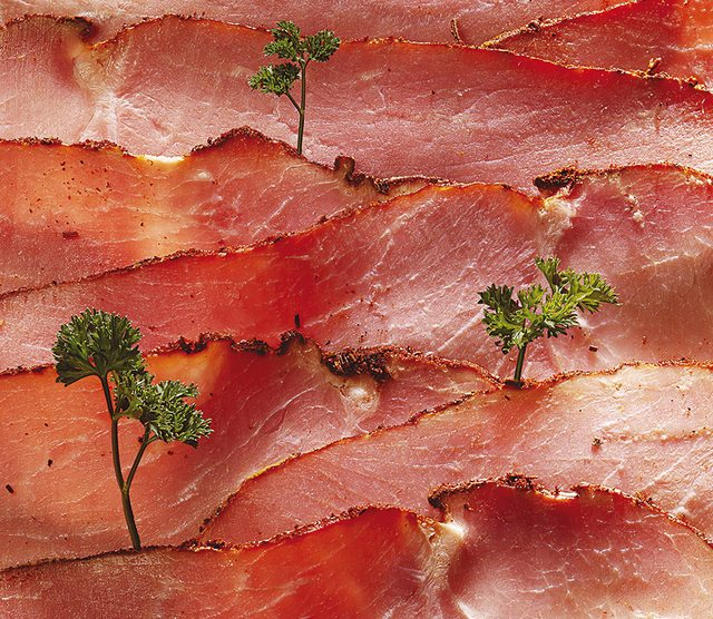 Hamscape 332
