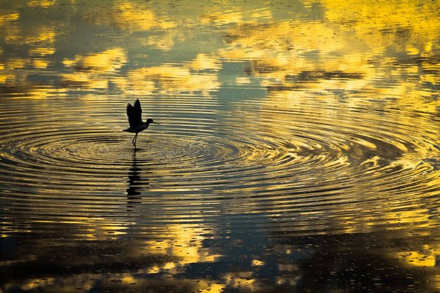 Ripples in Time 276
