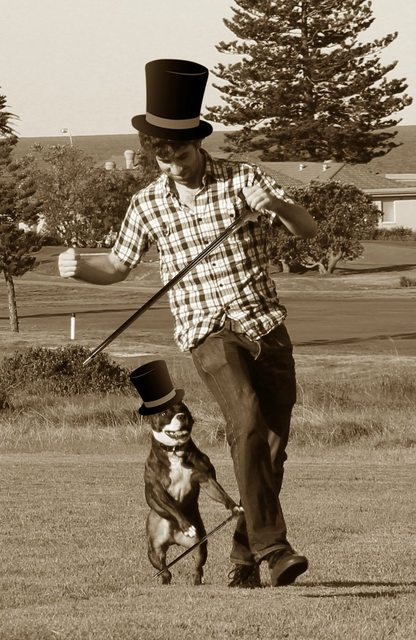 Dog Dance 662