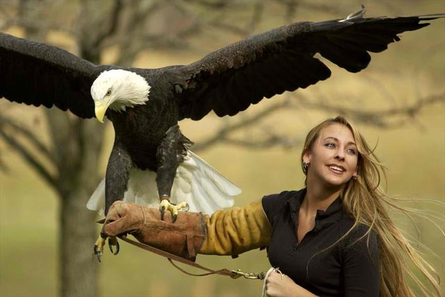 Eagle Hunter 763