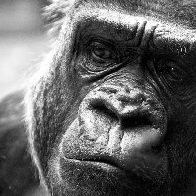 Pondering life 937 Pondering life 937