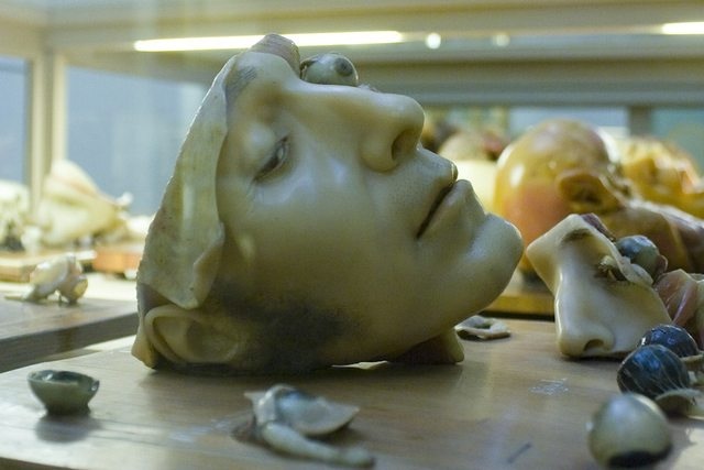 Fear of Humanoid Figures 468 Fear of Humanoid Figures 468