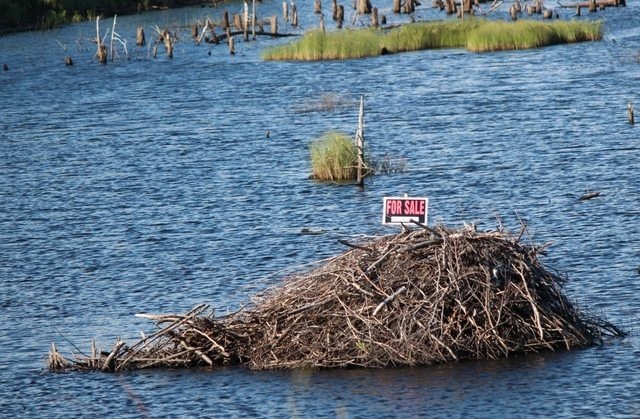 How soon can I move in 761 How soon can I move in 761