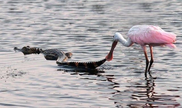 I hope this had a good ending 298 I hope this had a good ending 298