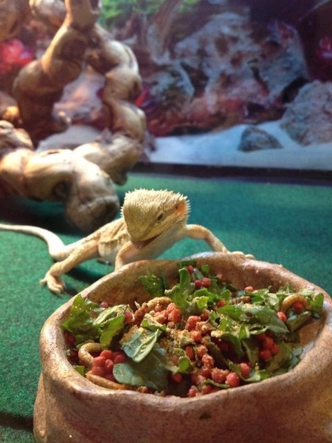 Mmmm Breakfast 651 Mmmm Breakfast 651