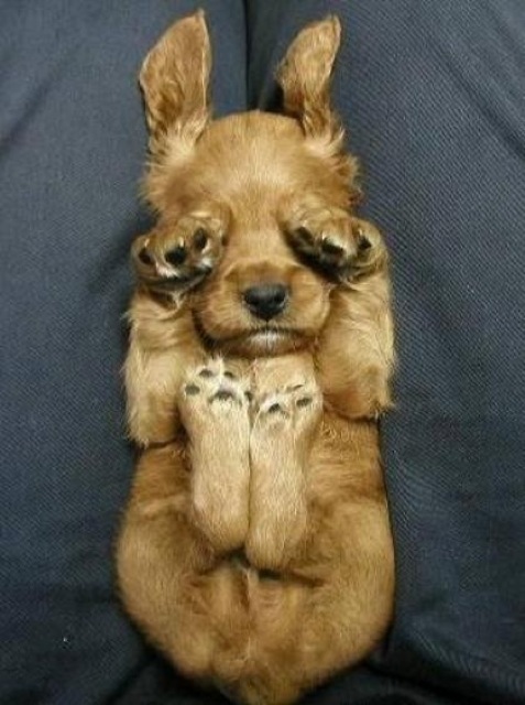 Can You See Me Now 347