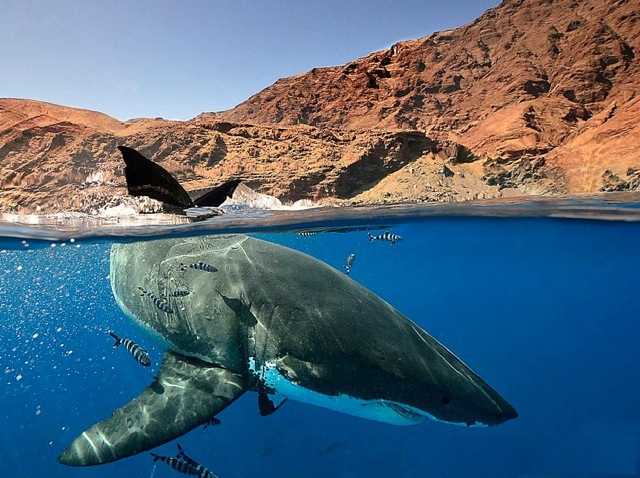 below the surface 701