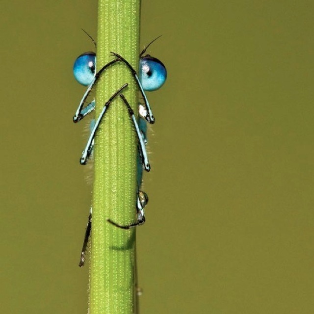 You can't see me 6734