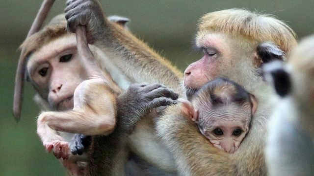 innocent until proven guilty 4332