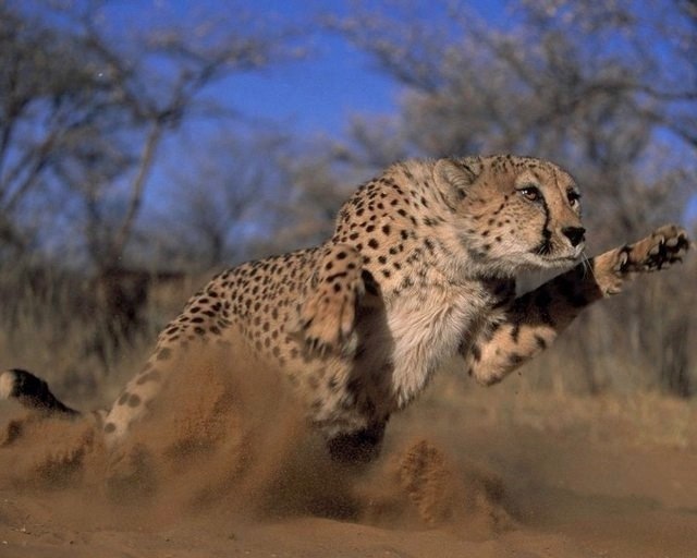 How long is a nanosecond