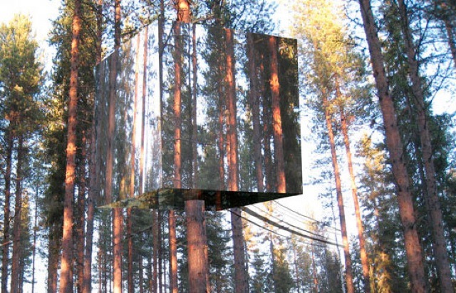 The invisible tree house 1359