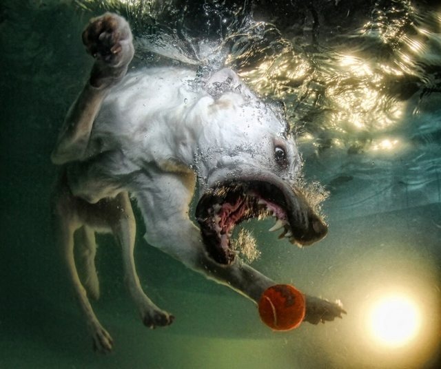 Gimme That Ball 7y52n5