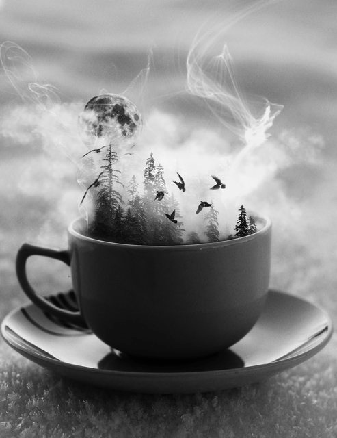 Have a cuppa whoa y24yw68wy2676