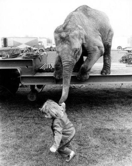 Leading him by the nose 9hg65d