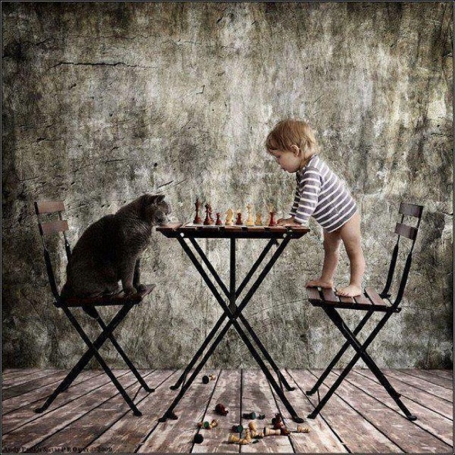 Sloppy chess match 9u86t3w48y