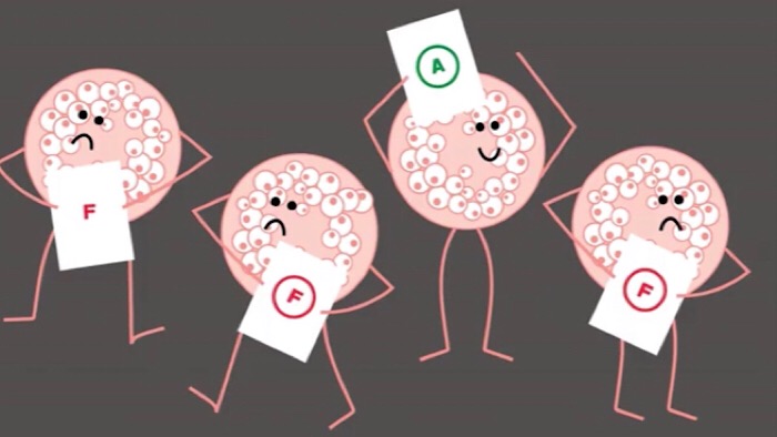 B7ADD31A-2E09-4FDF-95EC-A1682FAFA336