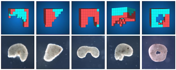 E5D53F0D-0461-4285-A185-6D20F26E748C