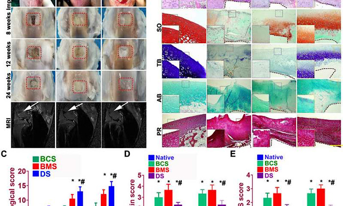 0FA464CD-994B-4AA5-9266-575EE1248F57