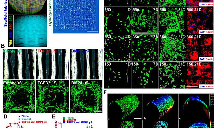 C4B3B371-C892-4153-9D27-CC3E81431C5F