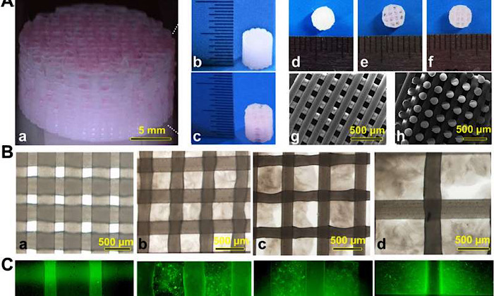 F74F4CC6-1E85-437D-ABD9-D8B74A3D29CE